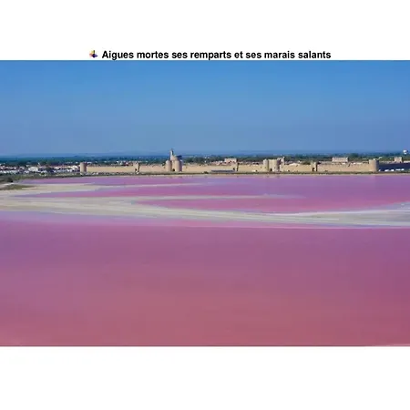 Apartmán Agreable Avec Piscine A Le Grau-du-Roi